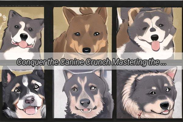 Conquer the Canine Crunch Mastering the Art of Calming a Biting Dog